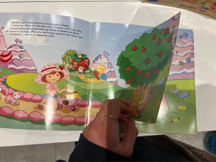 Lot de 2 livres charlotte aux fraises - photo numéro 3