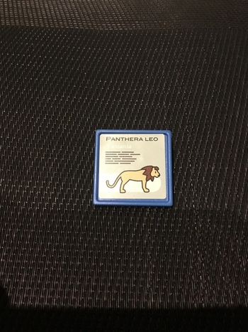 Playmobil panneau affiche enclos des lions Zoo 6634 pièces détachées