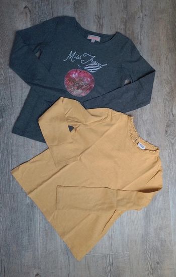 Lot de 2 tee shirt manches longues tape à l'œil/Lisa rose