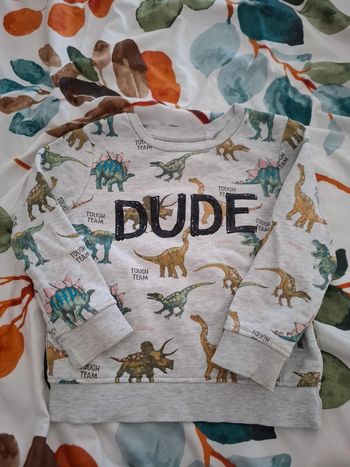 Pull dinosaure 🥨