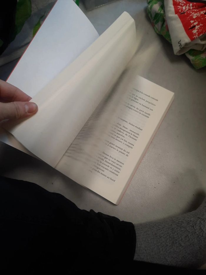 Livre New roman auteur crossfire - photo numéro 9