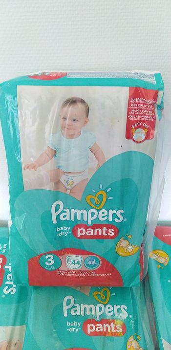 Couche  Pampers  pants