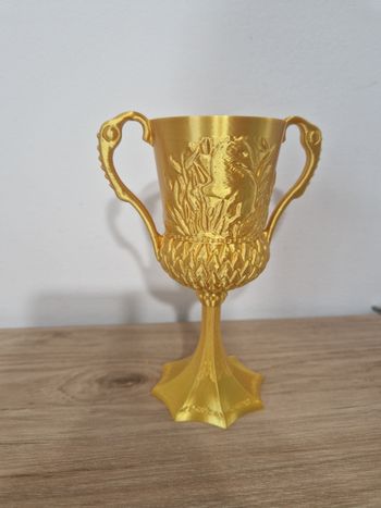 Coupe Poufsouffle Harry Potter