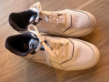 Basket puma
