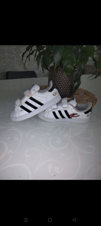Basket adidas