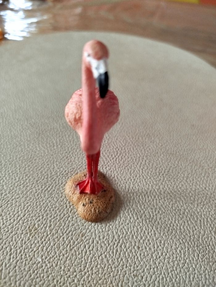 Flamant rose