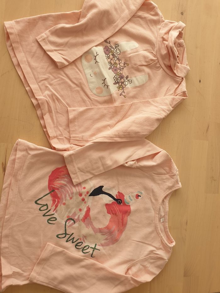 Lot 2 hauts manches longues 24 mois