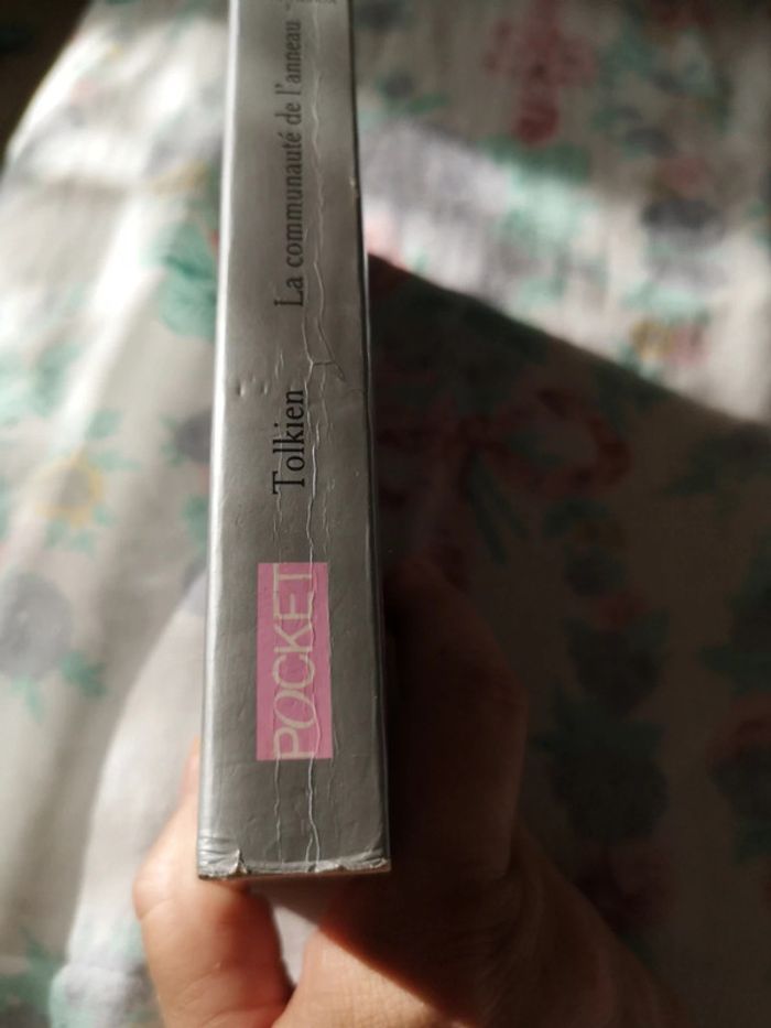Le seigneur des anneaux 1 - photo numéro 3