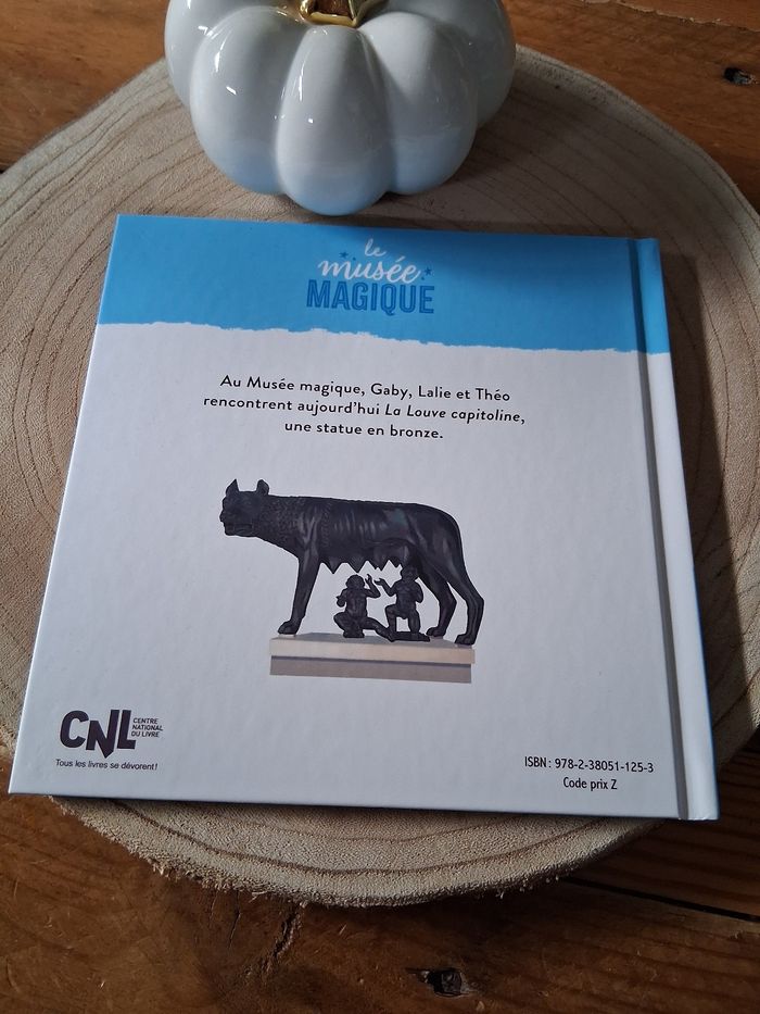 Livre - photo numéro 3