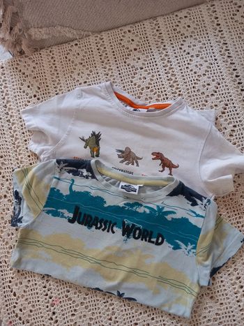 Lot 2 tee-shirt Jurassic