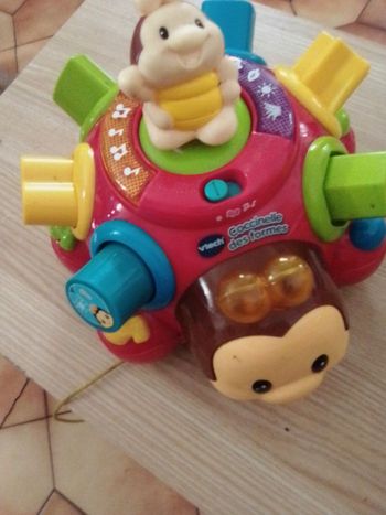 coccinelles educative