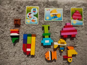 LEGO - 10848 - DUPLO - Mes premières briques