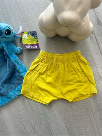 Short Disney Sunny the Pooh
