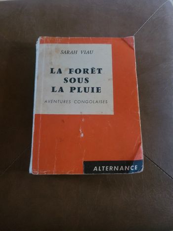 La forêt sous la pluie. Aventures congolaises