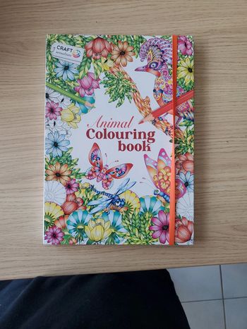 Livre coloriage