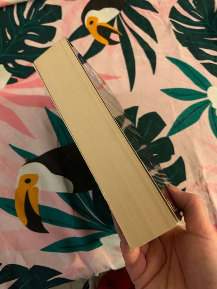 Les ELs - photo numéro 4