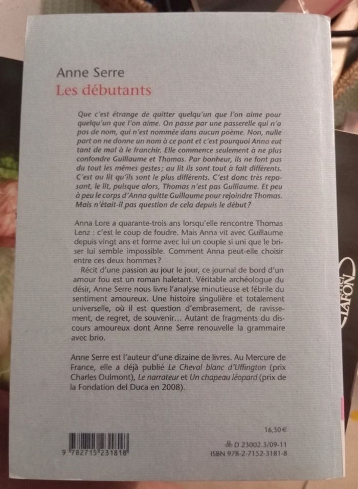 Roman d'amour ''Les débutants '' - photo numéro 3