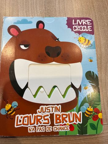 Livre Justin l’ours brun 