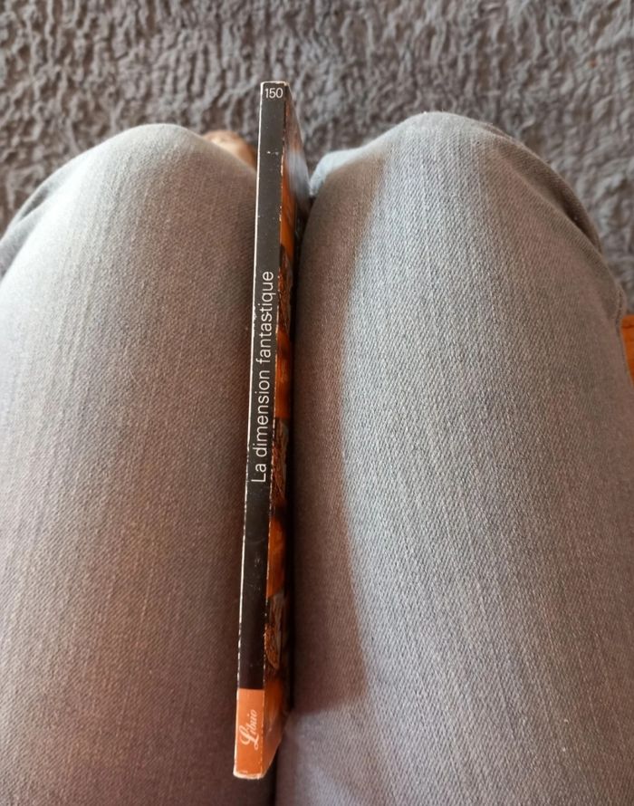 La dimension fantastique - photo numéro 3