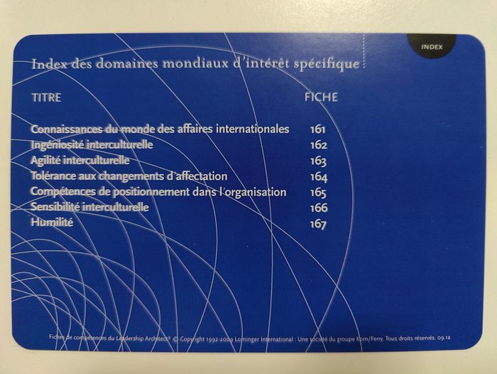 Jeu de fiches Leadership Architect Sort Cards (développement perso et performances pro) - photo numéro 8