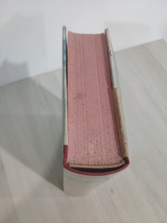 Beau livre Les amours Ronsard éditions Baudelaire - photo numéro 3