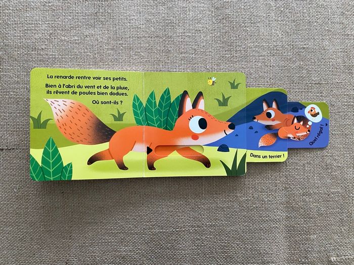 Livre Qui habite dans les bois ? Caché Trouvé Larousse Jeunesse - photo numéro 10