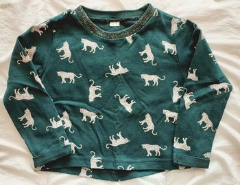 Sweat fille 4-5 ans / Zeeman