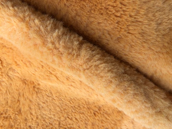 Manteau Absorba 36 mois - photo numéro 7