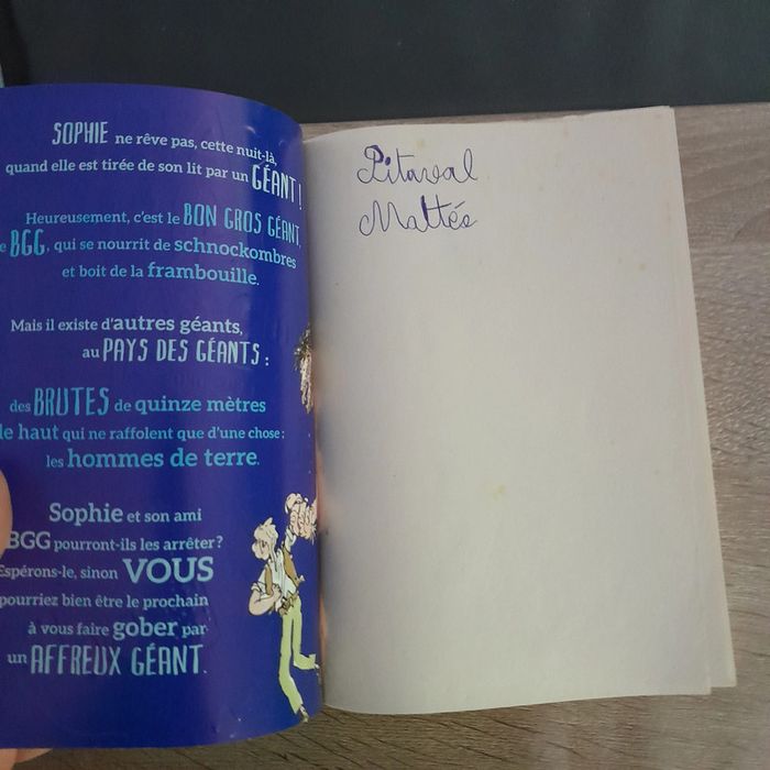 roman Roald Dahl - le BGG le bon gros géant - photo numéro 2