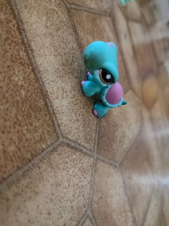 Figurine petshop tortue