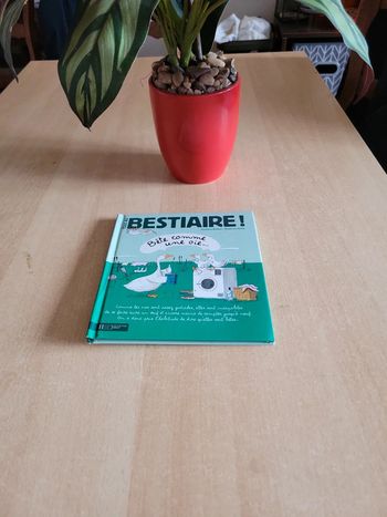 Tous au bestiaire . Bête comme une oie