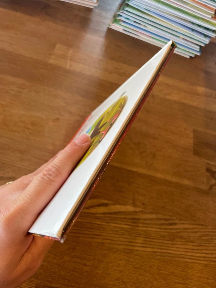 Livre Altaya Le monde des animaux Sauvages Animaux de la savane Le serpentaire - photo numéro 6