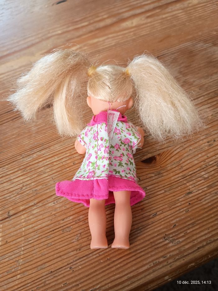 Poupée Evi Love et ses accessoires - photo numéro 5