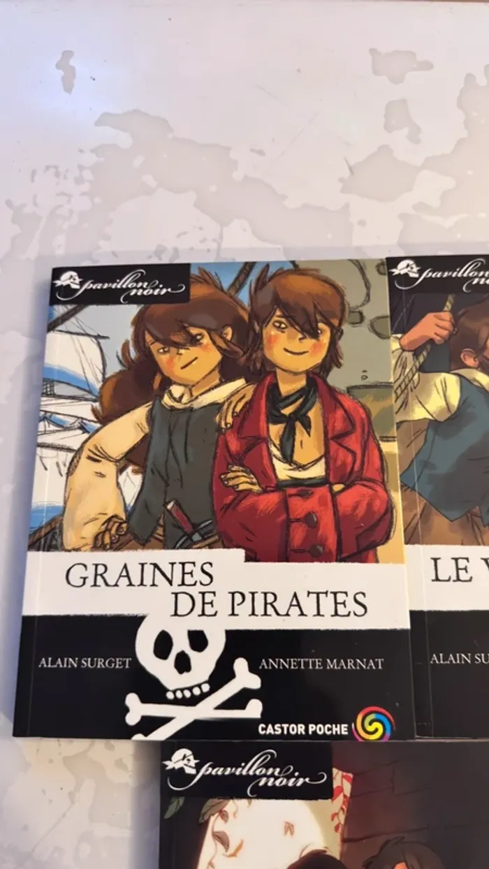📚 Lot complet – Collection Les Frères Faucons 5 tomes – Alain Surget / Annette Marnat - photo numéro 8