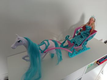 Steffi poupée avec cheval et luge