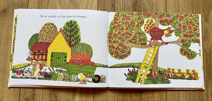 Mais où es-tu mon petit poussin ? - Livre 📕 - photo numéro 7