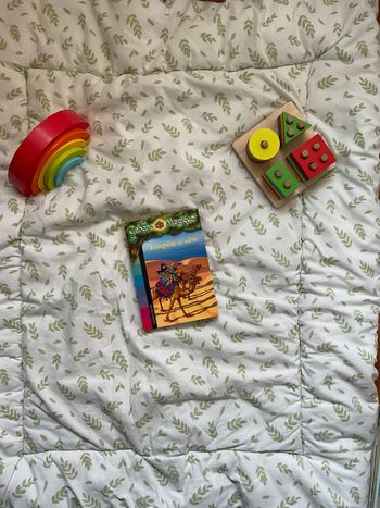 livre la cabane magique tempête de sable tome 29