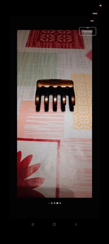 Pince marron