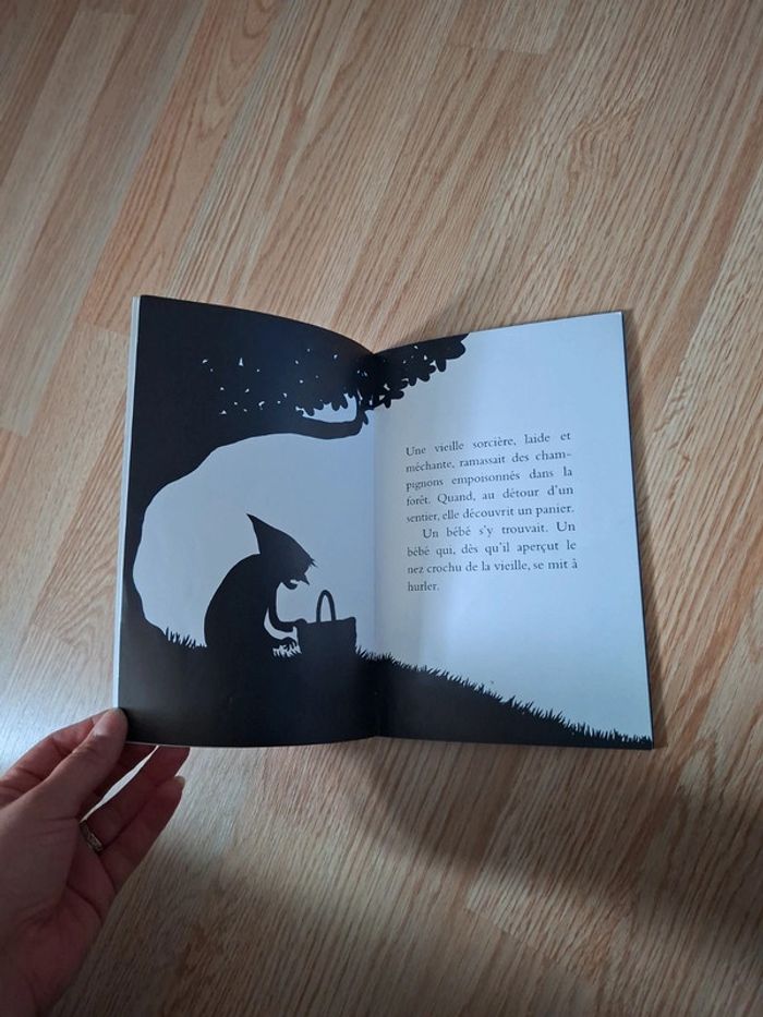 Livre - photo numéro 2