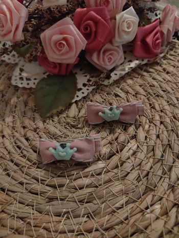 🎀Paire de 2 pinces à cheveux🎀