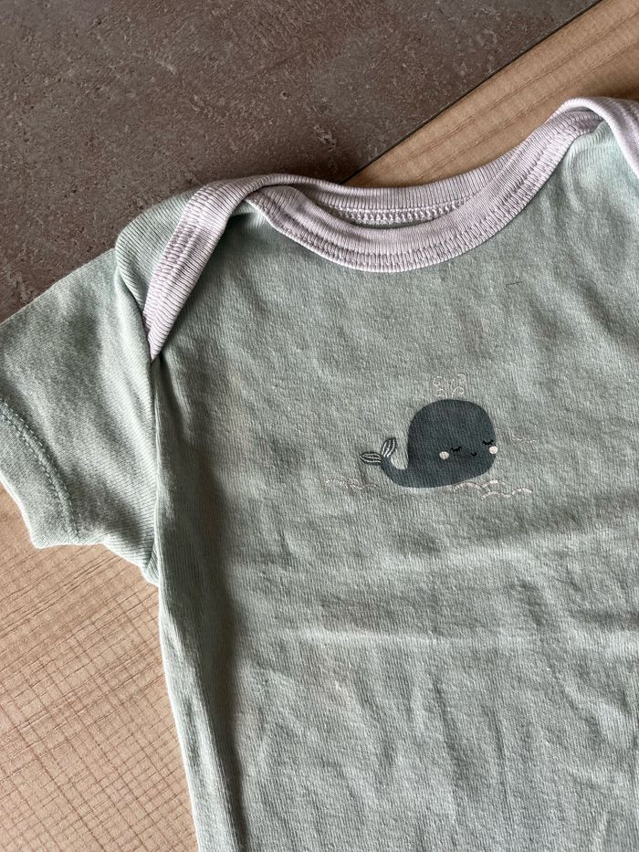 Lot 7 bodies - photo numéro 4