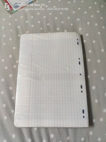 400 feuilles simples perforées grand carreaux 21x29.7cm