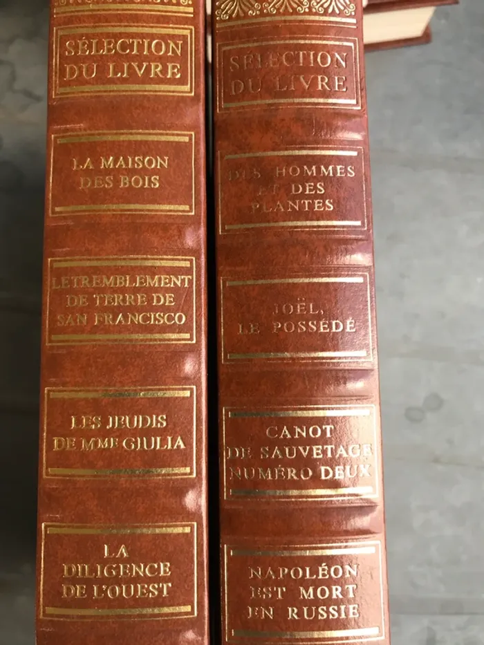 Collection La selection du livre - photo numéro 8