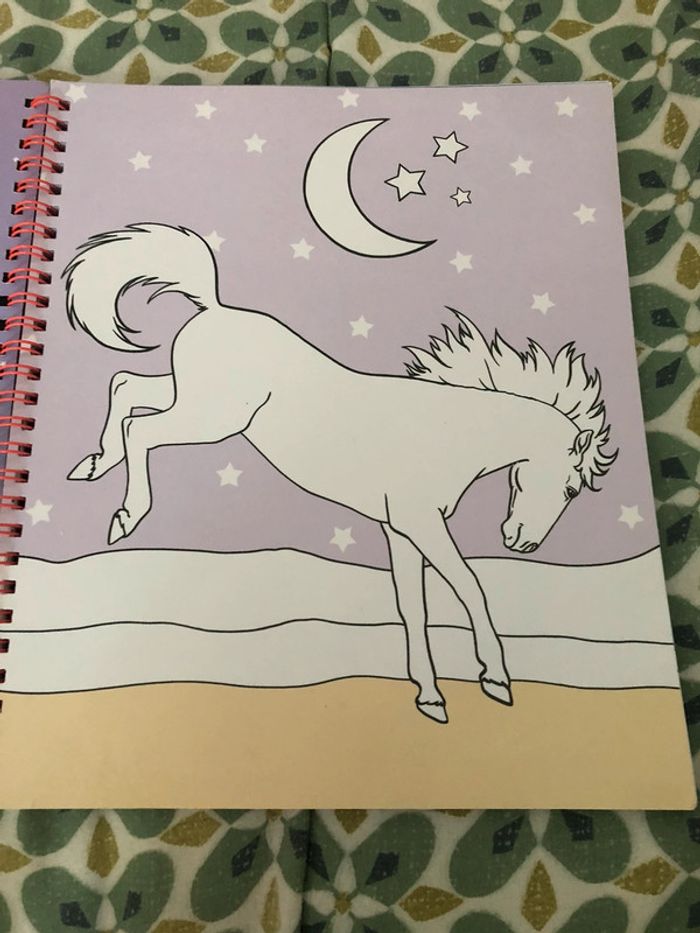 Livre de coloriage miss Mélody - photo numéro 3