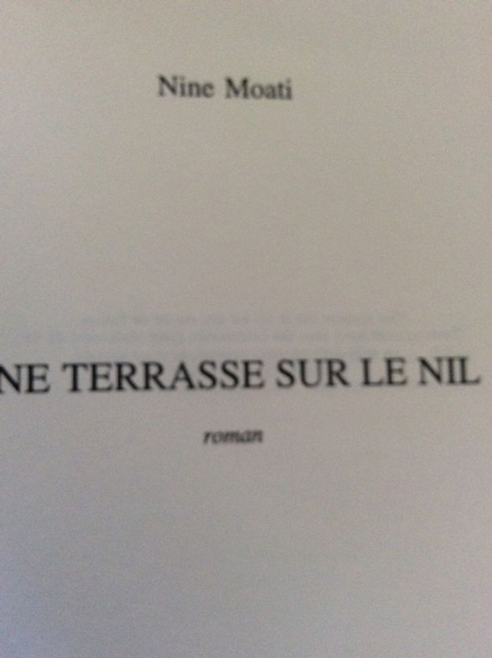 #une terrasse sur le Nil par Nine Moati - photo numéro 5