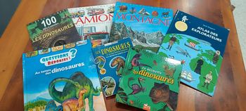 Lot de 7 livres jeunesse documentaires