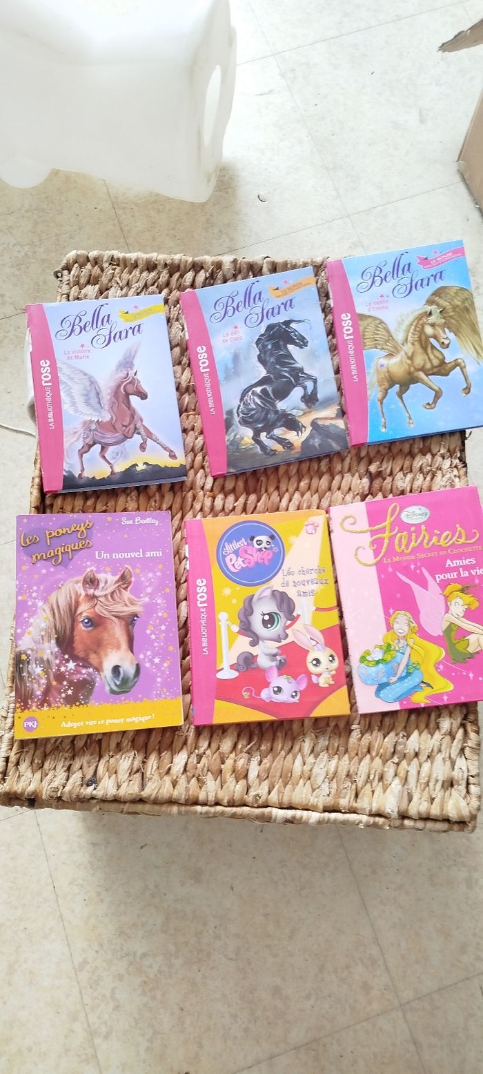 Lot livre jeune fille 🎀 - photo numéro 2