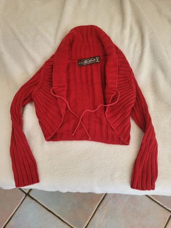 Magnifique gilet
