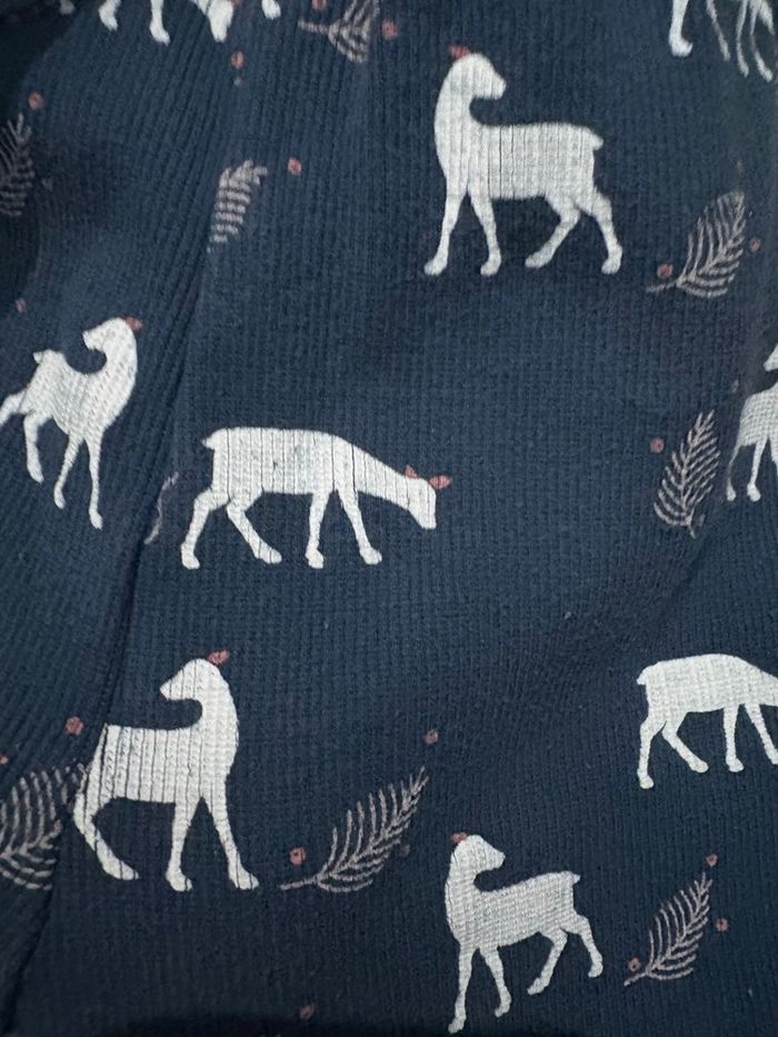 Pyjama renne 8 ans - photo numéro 10