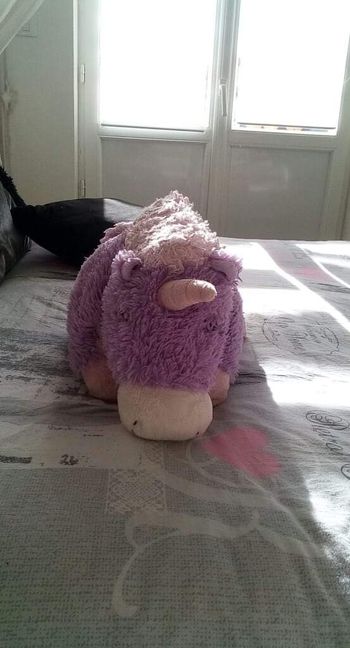 Peluche Pillow pet licorne